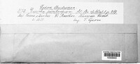 Image Associated With the Occurence
